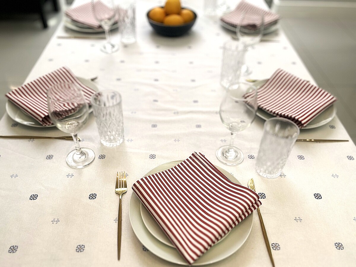 Rust/White Stripe Mediterranean Sunset Napkins (Serviettes) - Image 4