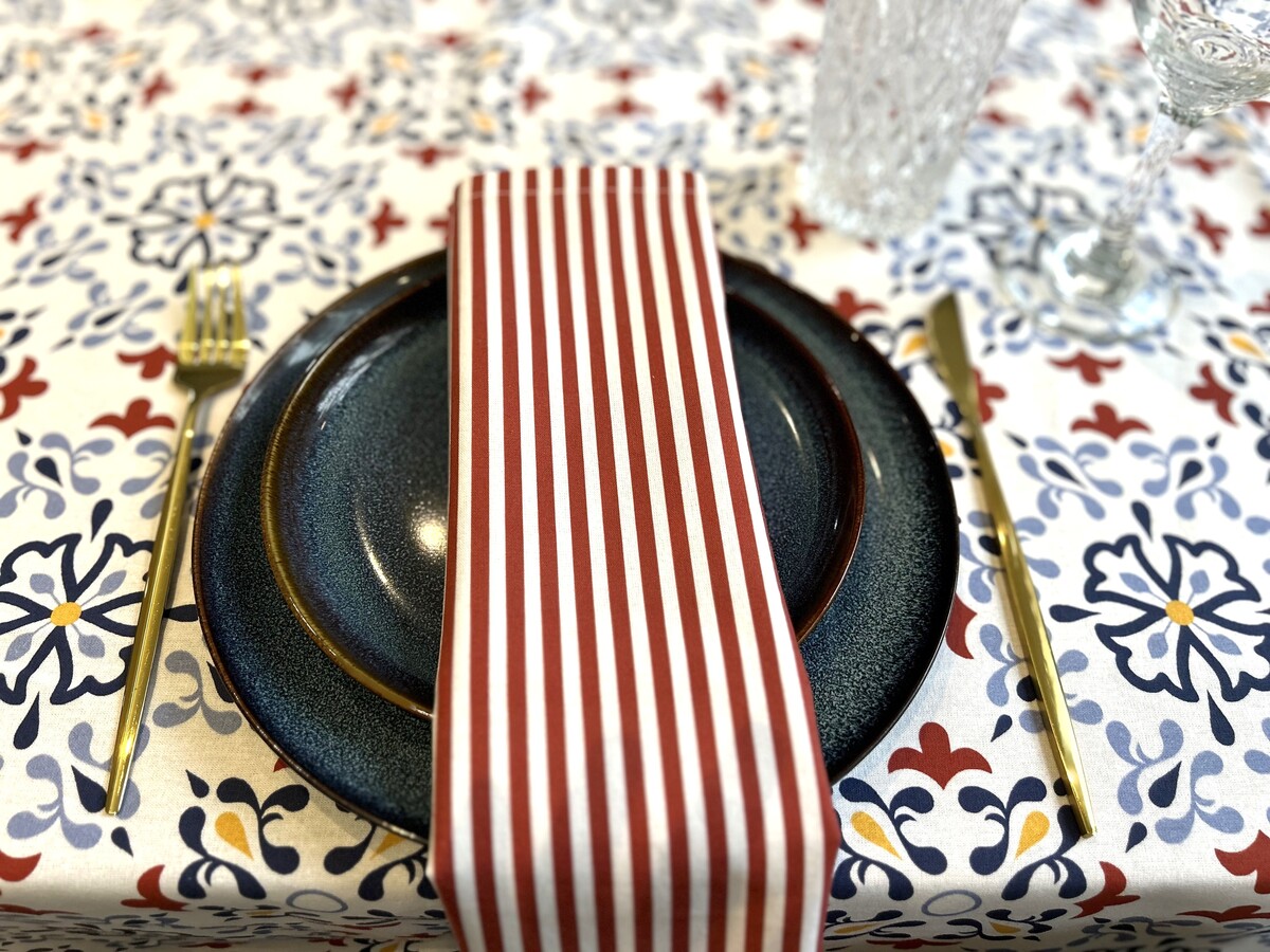Rust/White Stripe Mediterranean Sunset Napkins (Serviettes) - Image 7